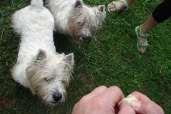 5810_1034457838970_1751167862_68139_6575087_n