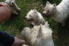 5810_1034457878971_1751167862_68140_1271690_n