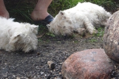 5810_1034458918997_1751167862_68165_5476284_n