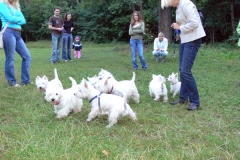 P1050188