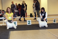 P1080782