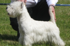 post-59325-1210508730