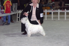 P1110749
