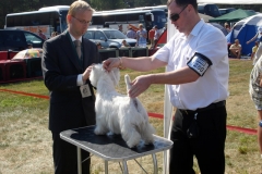 CACIB Druskininkai20090808 006