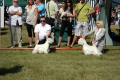 CACIB Druskininkai20090808 015