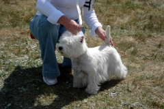 CACIB Druskininkai20090808 035