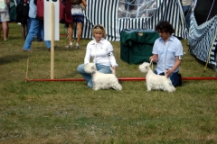 CACIB Druskininkai20090808 045