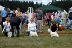 CACIB Druskininkai20090808 077