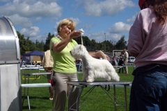 MarijampoleCAC080622 023