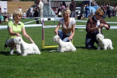 MarijampoleCAC080622 042