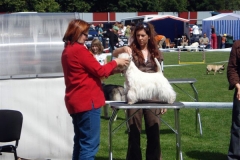 MarijampoleCAC080622 049